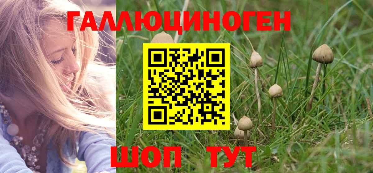 Галлюциногенные грибы Psilocybine cubensis  Вход с VPN  Жуковский 