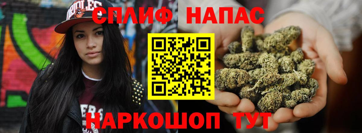 Каннабис конопля Жуковский